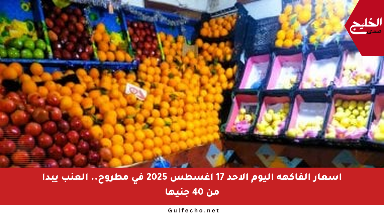 أسعار الفاكهة اليوم الأحد 17 أغسطس 2025 في مطروح.. العنب يبدأ من 40 جنيها